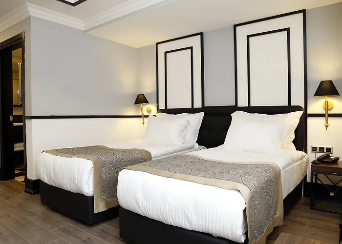 فندق The Mara Palace أنقرة